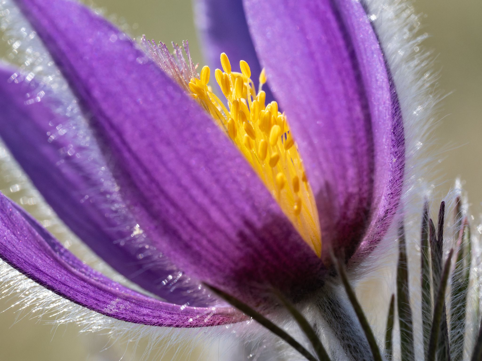 135 260423 1200 H  2HR0307 DxO DeepPRIME 3